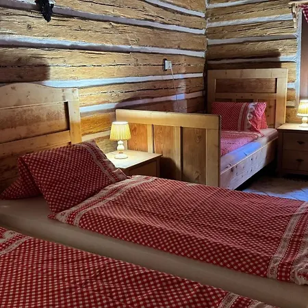 Vakantiehuis Drevenica U Peta *